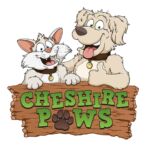 Cheshire Paws - Dog Walking and Pet Care